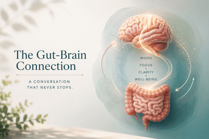 the brain gut connection